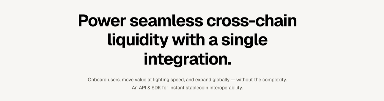 Rhino Bridge Overview visual